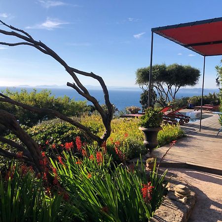 Villa Mirabel Ile du Levant Bagian luar foto